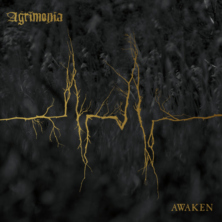 5 años pasaron para que Agrimonia reviviera con frescura y poder la escena de Gotemburgo con Awaken, su más reciente creación.