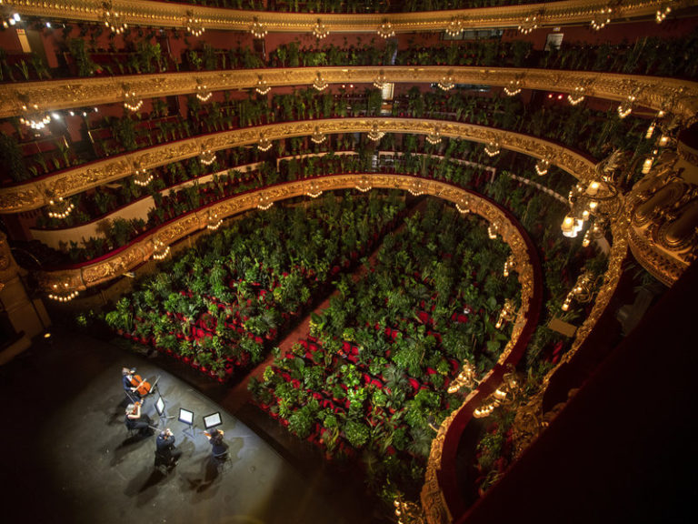 Teatro en Barcelona reabre sus puertas con un concierto para plantas