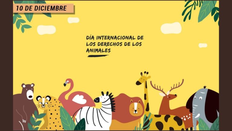 Mira 5 documentales para concientizar en el Día Internacional de los Derechos de los Animales