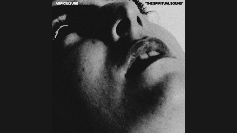 Agriculture — The Spiritual Sound, Luz y disonancia en el black metal contemporáneo